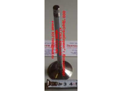 Клапан впускной WP12 SH SHAANXI / Shacman (ШАНКСИ / Шакман) 612630050001 фото 1 Владимир