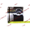 Поршневая группа WD12/WD618 (6 гильз, 6 поршней (..0017), 6 пальцев, комплект колец) SH SHAANXI / Shacman (ШАНКСИ / Шакман) 61800010125 фото 12 Владимир