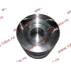 Поршневая группа WD12/WD618 (6 гильз, 6 поршней (..0017), 6 пальцев, комплект колец) SH SHAANXI / Shacman (ШАНКСИ / Шакман) 61800010125 фото 11 Владимир