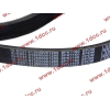 Ремень 8PK1160 SH (612600061295) SHAANXI / Shacman (ШАНКСИ / Шакман) 612600061752 фото 2 Владимир