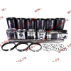 Поршневая группа WD615.95 375л.с. (6 гильз, 6 поршней (...0004), 6 пальцев,комплект колец) H3 BOWEI HOWO (ХОВО)  фото 13 Владимир