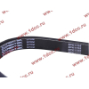 Ремень 8PK1725 DF/C CREATEK CREATEK C3911620/CK8041 фото 2 Владимир