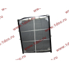 Радиатор WP10 SH SHAANXI / Shacman (ШАНКСИ / Шакман) DZ9112539268 фото 2 Владимир