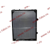 Радиатор WP12 SH SHAANXI / Shacman (ШАНКСИ / Шакман) DZ95259532203 фото 2 Владимир