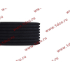 Ремень 8PK1725 DF/C CREATEK CREATEK C3911620/CK8041 фото 3 Владимир