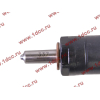 Форсунка D12 Euro-2 / WD615 420л.с. Н2 HOWO (ХОВО) VG1246080036 фото 3 Владимир