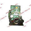Блок цилиндров двигатель WD615E3 H3 HOWO (ХОВО) AZ109910078AR фото 5 Владимир