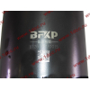 Поршневая группа WD615.95 375л.с. (6 гильз, 6 поршней (...0004), 6 пальцев,комплект колец) H3 BOWEI HOWO (ХОВО)  фото 10 Владимир