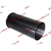 Поршневая группа WD12/WD618 (6 гильз, 6 поршней (..0017), 6 пальцев, комплект колец) SH SHAANXI / Shacman (ШАНКСИ / Шакман) 61800010125 фото 5 Владимир