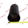 Поршневая группа WD12/WD618 (6 гильз, 6 поршней (..0017), 6 пальцев, комплект колец) SH SHAANXI / Shacman (ШАНКСИ / Шакман) 61800010125 фото 8 Владимир