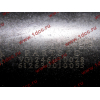 Поршневая группа WD12/WD618 (6 гильз, 6 поршней (..0017), 6 пальцев, комплект колец) SH SHAANXI / Shacman (ШАНКСИ / Шакман) 61800010125 фото 9 Владимир