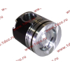 Поршневая группа WD12/WD618 (6 гильз, 6 поршней (..0017), 6 пальцев, комплект колец) SH SHAANXI / Shacman (ШАНКСИ / Шакман) 61800010125 фото 10 Владимир